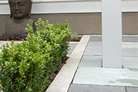 Garten und Landschaftsbau